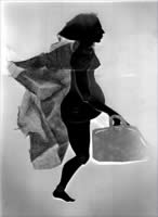 image from in a teacup