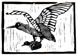 Woodcut